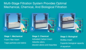 Multiple stages of filtration